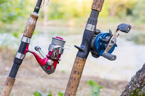 Types of Fishing Reels: The Complete Guide