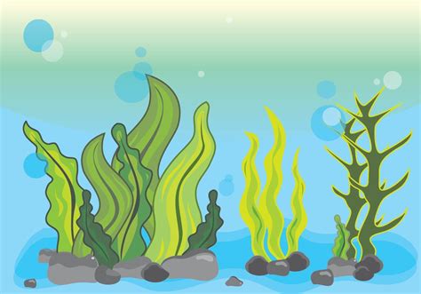 Aquatic Plants Seaweed Underwater Algae Clip Art Clipart Cartoon | The ...