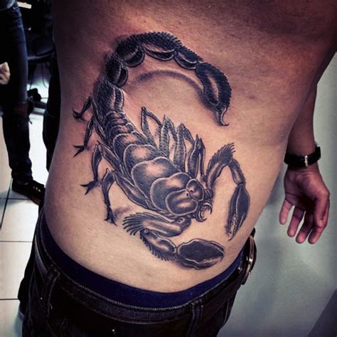 Great scorpion pictures - Tattooimages.biz