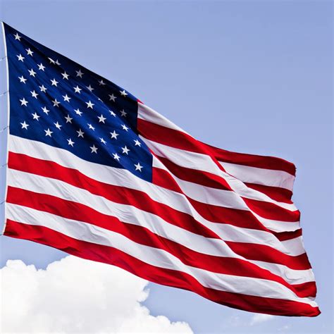 United States of America Flag | Buzz Photos