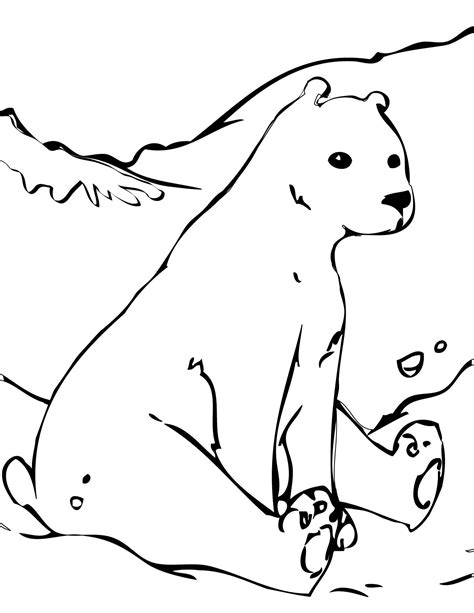 Polar Bear Printable Coloring Pages - Printable Word Searches