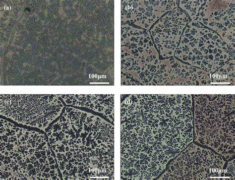 Microstructure of brass alloy with and without EPT (a) original sample ...