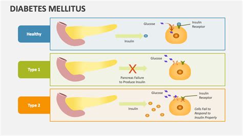 Diabetes Mellitus PowerPoint Presentation Slides - PPT Template