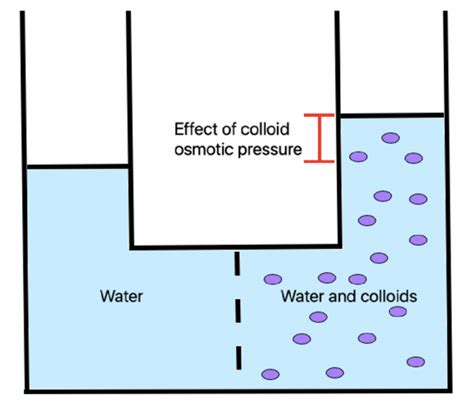 Biology:Oncotic pressure - HandWiki