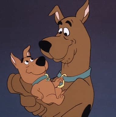 Scooby-Doo and Scrappy-Doo (relationship) | Scoobypedia | FANDOM ...