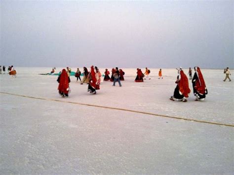 Know about India's salt desert, Great Rann of Kutch | India News – India TV