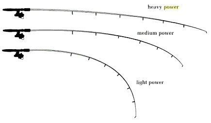 Fishing Rods Power | Light, Medium, Heavy | All Fishing Buy