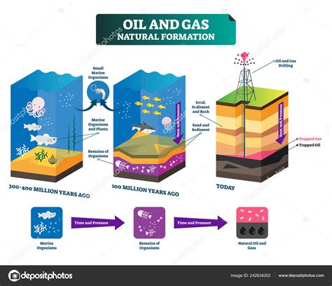 Oil and gas natural formation labeled vector illustration explain ...