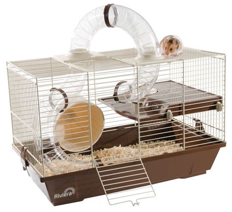 Dwarf Hamster Cages UK | WebNuggetz.com