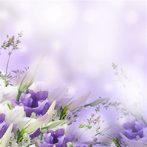 Free White, Spring, Flowers Background Images, Simple Background Photo ...