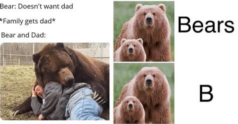 30 Bear-y Funny Memes to Claw Your Way to a Good Mood - Animal Comedy ...