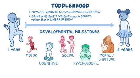 Growth and development - Toddler: Nursing - Osmosis Video Library