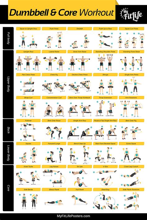 Buy Gym Dumbbell and Core Workout Laminated :: Illustrated Guide with ...