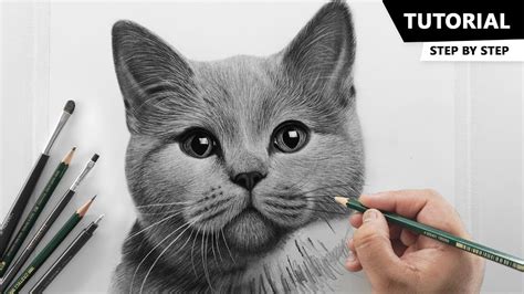 Aggregate more than 70 cat sketch realistic best - seven.edu.vn