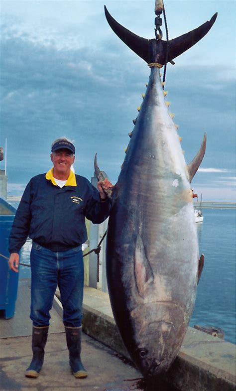 Cape Cod Fishing at Its Best: The Catch | Magic Fishing Charters