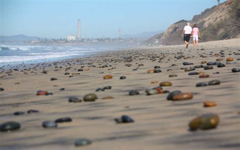 South Carlsbad State Beach, Carlsbad, CA - California Beaches