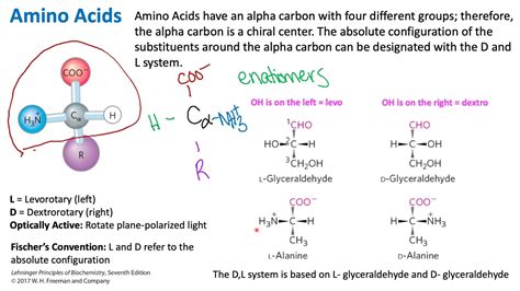 Stereochemistry of Amino Acids | Biochemistry - YouTube