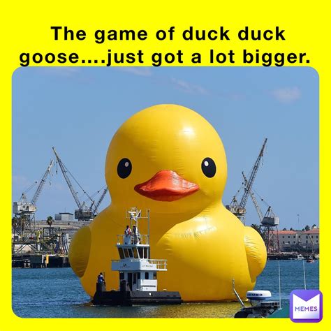 The game of duck duck goose….just got a lot bigger. | @JoeJ41 | Memes