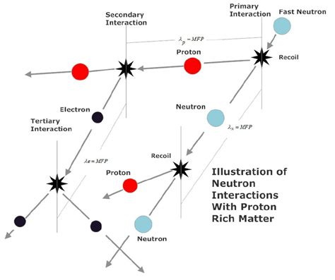 Illustration of fast neutron interactions with a proton rich form of ...