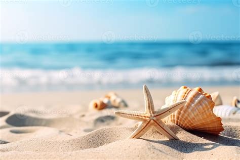 beautiful sea shells on the seashore with room for a product or ...