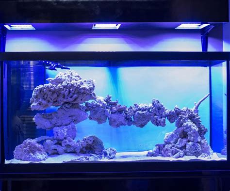 Tips and Tricks on Creating Amazing Aquascapes - Page 14 - Reef Central ...