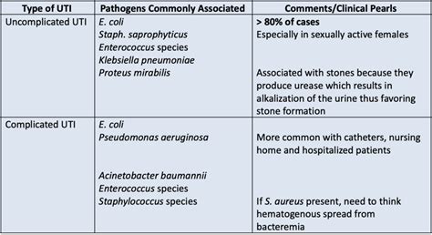 Pseudomonas Aeruginosa Uti Treatment - Carpet Vidalondon