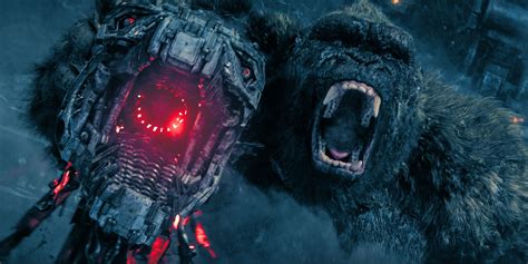 Why Kong Could Beat Mechagodzilla, But Not Godzilla