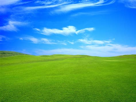 Green Sky Wallpapers - Top Free Green Sky Backgrounds - WallpaperAccess