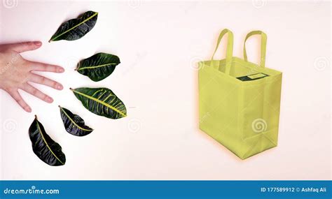 Best Shopping ECO Friendly Bag Stock Photo - Image of green, fabric ...