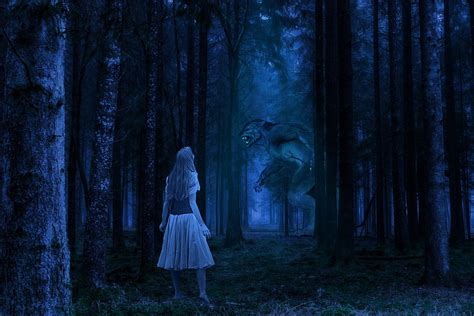 Download Girl, Werewolf, Forest. Royalty-Free Stock Illustration Image ...