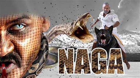 Naga Movie Trailer l Naga Movie Teaser | Lawrence, Kajal Agarwal, Nikki ...