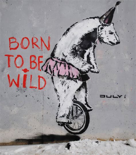 Born To Be Wild | Bored Panda