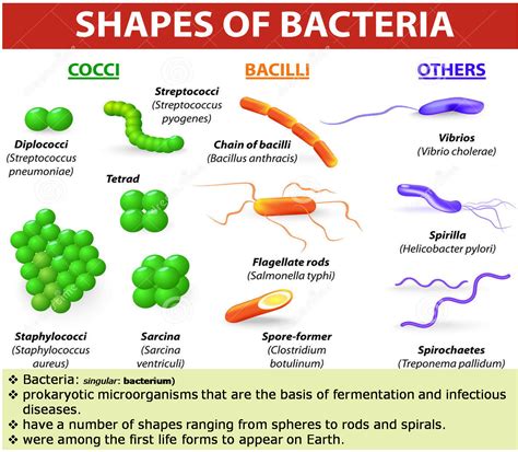 Science - 8th Grade: Pathogens