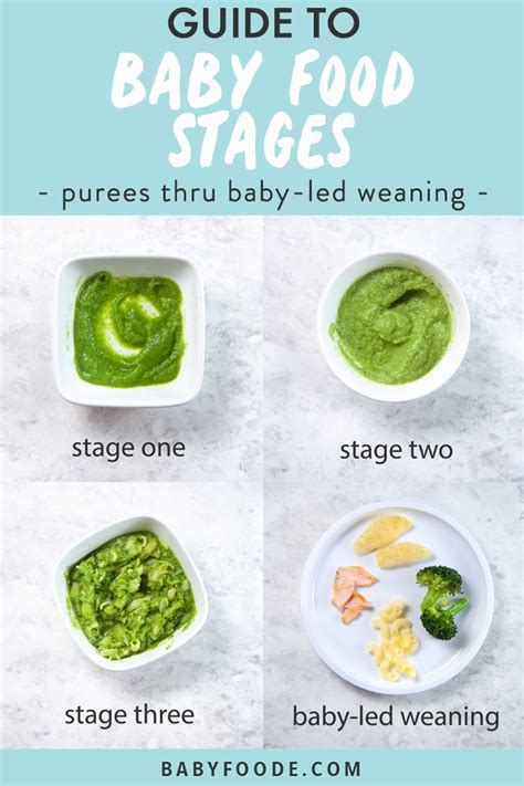 When Should My Baby Eat Stage 3 Foods - Pisani Loverrien