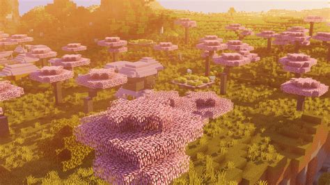 Full Cherry Blossom Trees Minecraft Texture Pack