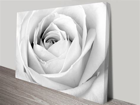 Graceful White Rose Flowers Floral Canvas Art Print