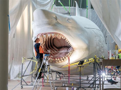 Reimagining the Megalodon, the World's Most Terrifying Sea Creature ...