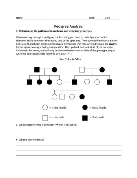 Pedigree Analysis Worksheet — db-excel.com