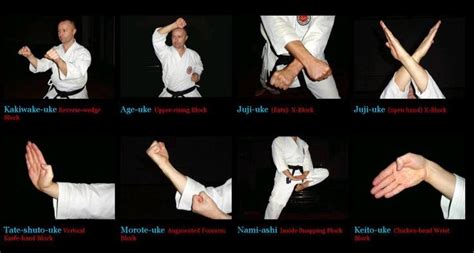 Karate Terminology Uke Blocks 2 | Karate | Pinterest | Shotokan Karate ...