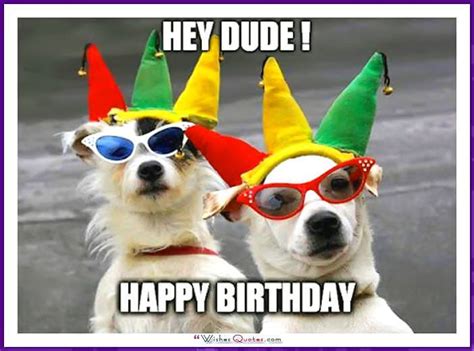 Happy Birthday Memes with Funny Cats, Dogs and Cute Animals