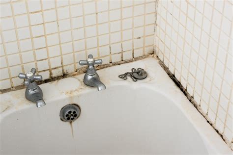 Bathroom dirt and mould on grouting and tiles near taps - Len The Plumber