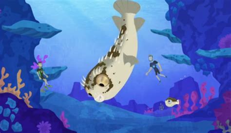 Image - Blowfish.Wild Kratts.PNG | Wild Kratts Wiki | FANDOM powered by ...