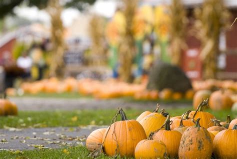 8 Fall Harvest Festivals Across the USA | En Route | US News