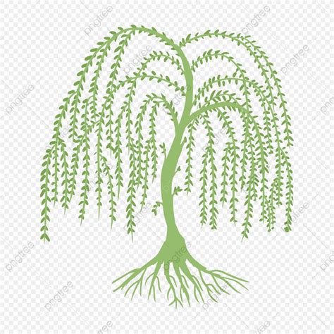 Willow Tree Silhouette PNG Free, Green Willow Tree Trunk Tree Leaves ...