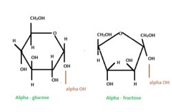 Fructose Structure - Diagrams, Ring Structure, Properties, Uses