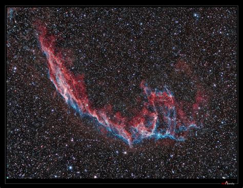 Astro Anarchy: A supernova remnant, the "Veil Nebula" reprocessed