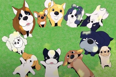 25 Anime Dogs: Man’s Best Friend in Iconic Anime – FandomSpot