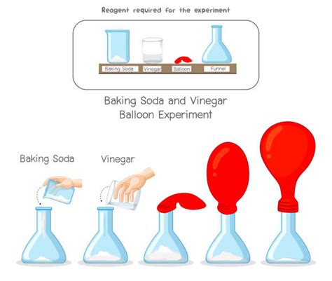 Baking Soda And Vinegar Reaction Balloon