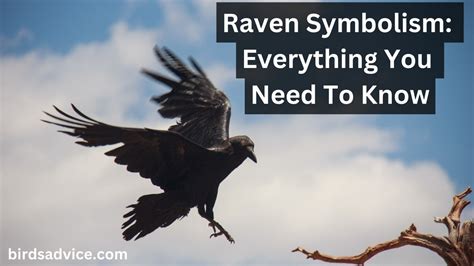 Raven Symbolism: Everything You Need To Know - Birds Advice