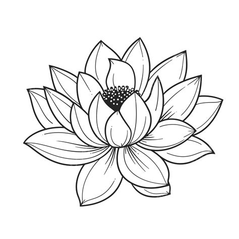 Lotus Flower With Petals And Stem Is Shown In Black And White Outline ...